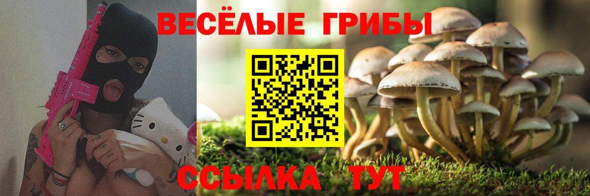Псилоцибиновые грибы мицелий Норильск